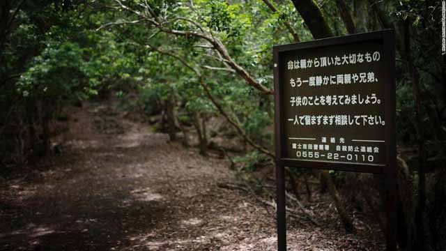 semn padurea aokigahara