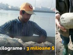 Ambra cenuşie – voma de balenă care valorează o avere ambra cenuşie