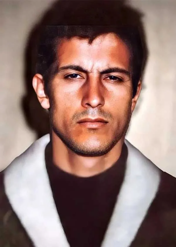 ion rimaru