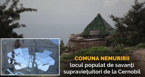 comuna nemuririi