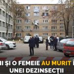 au-murit-dezinsectie