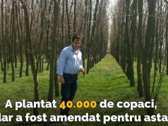 Un fermier a plantat 40.000 de copaci pe terenul său, însă a fost amendat plantat 40.000 de copaci