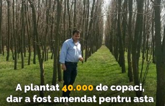 plantat 40.000 de copaci