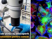 Savanţii au descoperit tratamentul pentru cancer. Orice formă a bolii va fi eradicată tratamentul pentru cancer