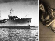 Vasul fantomă SS Ourang Medan. Echipajul găsit mort, cu ochii deschişi vasul fantomă