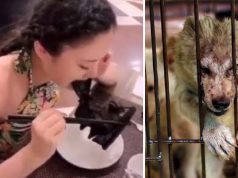 Liliecii, câinii şi pisicile se vând din nou în pieţele de animale din China pieţele de animale din china