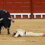 matador-taur1