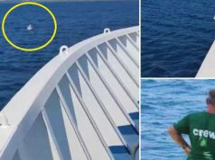 Fetiță găsită în largul mării, plutind pe o saltea gonflabilă fetiță găsită în largul mării