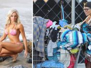 ajuns om al străzii loni willison