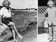 10 curiozităţi despre Albert Einstein, una dintre cele mai luminate minţi din istorie curiozităţi despre einstein