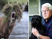 acuzat de uciderea soţiei