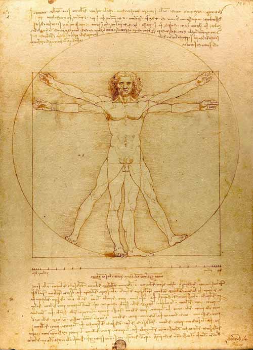 omul vitruvian leonardo da vinci