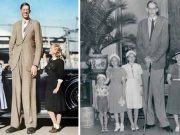 Robert Wadlow sau „Gigantul din Illinois”, cel mai înalt om din istorie robert wadlow cel mai inalt