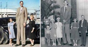 robert wadlow cel mai inalt