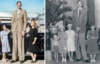 robert wadlow cel mai inalt