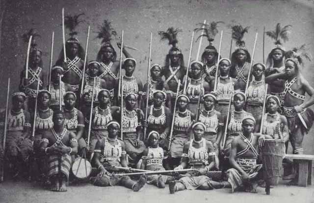 amazoanele dahomey