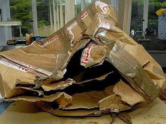 michelina lewandowska2