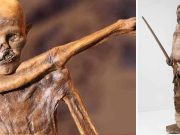 Otzi, Omul Gheţurilor: cea mai veche mumie umană descoperită până în prezent în Europa otzi omul gheturilor