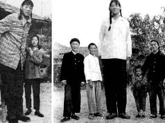 Povestea lui Zeng Jinlian, cea mai înaltă femeie din istorie, care avea 2,48 metri Zeng Jinlian