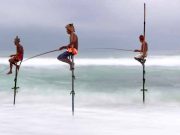 Pescuitul pe stâlp, neobişnuita metodă de pescuit din Sri Lanka pescuitul pe stâlp