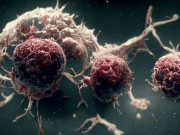 Bacterii modificate genetic pot detecta celulele canceroase într-un experiment în premieră mondială