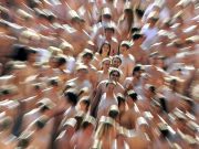 Câţi oameni au trăit pe Pământ până acum? Trăiesc mai mulţi oameni în prezent decât au existat vreodată? câţi oameni au trăit pe pământ