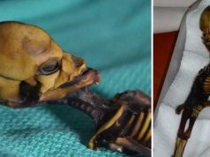 Adevărul tragic ascuns de extraterestrul din Atacama şi ce este de fapt ciudata fiinţă extraterestrul din atacama
