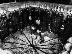 Universul 25: experimentul care dă fiori. Cum a ajuns „utopia şobolanilor” să dea indicii despre extincția omenirii universul 25