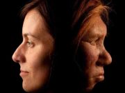 Studiile confirmă că 20% din genomul oamenilor de Neanderthal se regăsește la oamenii moderni genomul oamenilor de Neanderthal