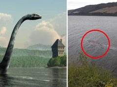 Monstrul din Loch Ness, între mit şi realitate: ce se ştie despre legendara creatură monstrul din loch ness