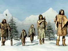 Cum au supravieţuit oamenii de Neanderthal în Epoca de Gheaţă oamenii de Neanderthal în Epoca de Gheaţă