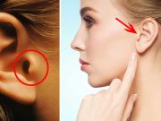 Tragus, rolul extrem de important al micului cartilaj proeminent de la ureche tragus