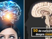 50 de curiozităţi despre creier, organul care nu doarme niciodată curiozităţi despre creier