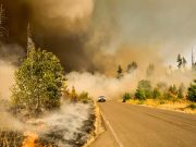 2023, cel mai cald an din istoria lumii. Cel puţin în ultimii 100.000 de ani nu au mai fost temperaturi atât de ridicate cel mai cald an