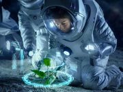 Oamenii de ştiinţă au crescut plante în sol de pe Lună plante în sol de pe Lună