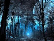 Teoria Pădurii Întunecate: ipoteza înfricoşătoare care explică de ce extratereştrii nu ne-au contactat până în prezent teoria pădurii întunecate