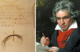 ADN-ul din părul lui Beethoven