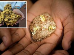 Cum să deosebești aurul adevărat de „aurul proștilor” aurul proştilor