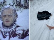 De ce oamenii se dezbracă de haine înainte de a muri de frig: paradoxul dezbrăcării paradoxul dezbrăcării