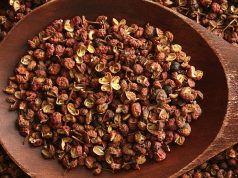 Piperul de Sichuan, condimentul minune utilizat de mii de ani, apreciat şi de celebrul Sherlock Holmes. Iată 10 beneficii ale acestui condiment piperul de sichuan