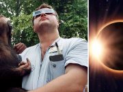 De ce animalele se comportă ciudat în timpul unei eclipse solare? animalele se comportă ciudat în timpul unei eclipse