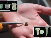 Cercei de urechi și de buze, vechi de 11.000 de ani, sunt cele mai vechi piercinguri din lume cele mai vechi piercinguri