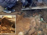 A fost descoperită cea mai mare groapă comună din Europa. 1000 de schelete au fost găsite de arheologi cea mai mare groapă comună