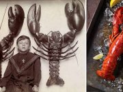 Cum au ajuns homarii de la „mâncarea săracilor”, la delicatesă homarii