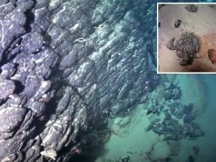 O insulă scufundată, dispărută de mult timp, este plină de minerale prețioase. Se află în largul coastelor Braziliei insulă scufundată