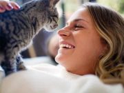 Legătura nebănuită dintre pisici şi riscul crescut de a dezvolta boli mintale precum schizofrenia pisici şi riscul crescut de a dezvolta boli mintale