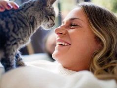 Legătura nebănuită dintre pisici şi riscul crescut de a dezvolta boli mintale precum schizofrenia pisici şi riscul crescut de a dezvolta boli mintale