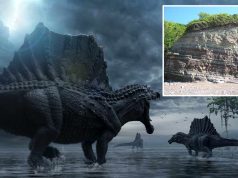 Potopul Carnian: timp de 2 milioane de ani a plouat pe Pământ într-un eveniment unic în istoria planetei Evenimentul Pluvial Carnian potopul