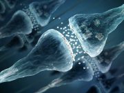 Un semnal fără precedent a fost detectat în creierul uman, sub forma unor „mesaje celulare” unice semnal nemaiîntâlnit detectat în creierul uman