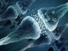 Un semnal fără precedent a fost detectat în creierul uman, sub forma unor „mesaje celulare” unice semnal nemaiîntâlnit detectat în creierul uman